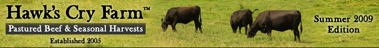 Hawks Cry Farm - Pastured Beef and Seasonal Harvests