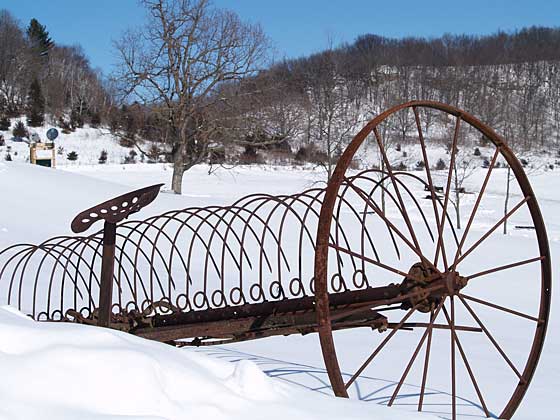 Winter Scene at Hawk's Cry Farm