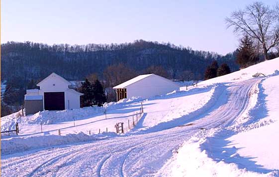 Winter Road